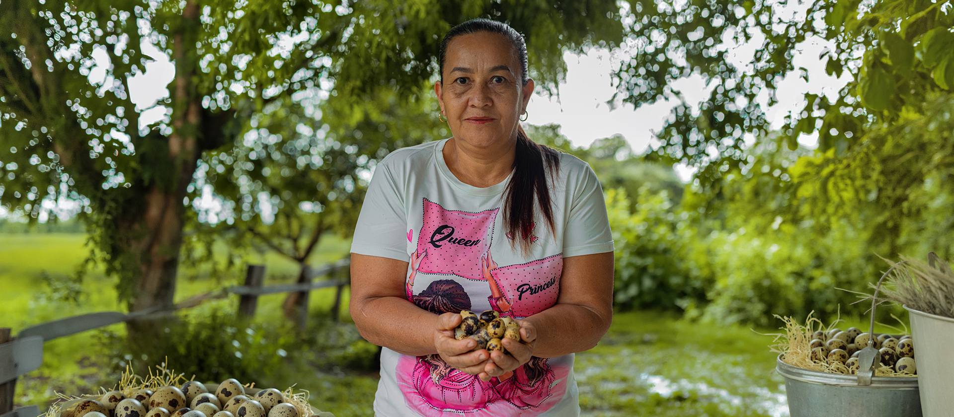 Frutos de trabajo